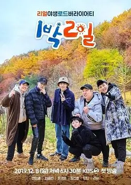 诗词大会 海报